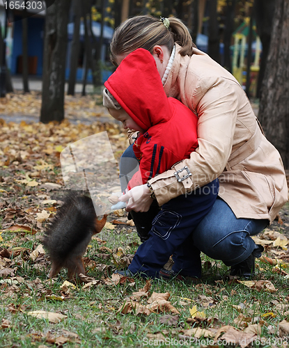 Image of Boy feeds a squirrel