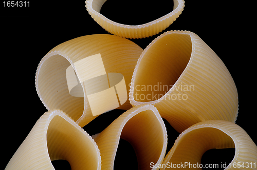 Image of Cannelloni close up