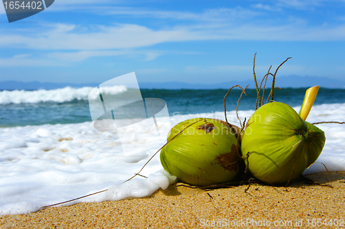 Image of Coconut