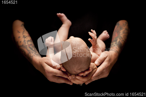 Image of Hands of Father and Mother Hold Newborn Baby on Black