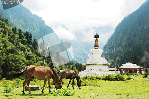 Image of Landscape in Shangrila