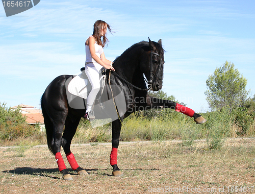 Image of young woman and horse