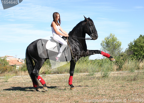 Image of young woman and horse