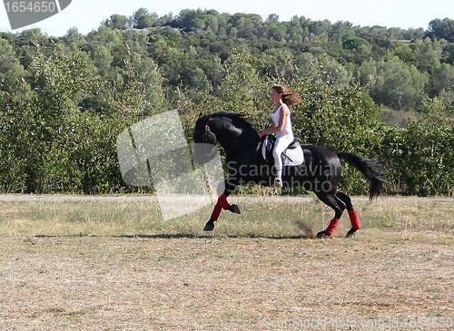 Image of young woman and horse