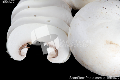 Image of Slices of mushroom