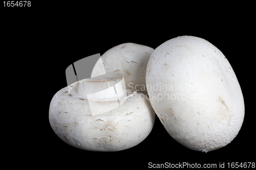 Image of Three mushrooms