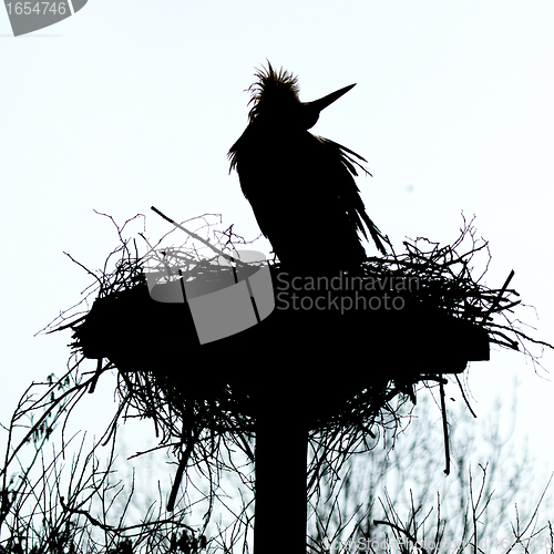 Image of A stork on a nest