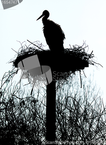 Image of A stork on a nest