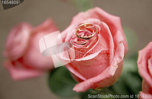 Image of Roses and rings on it