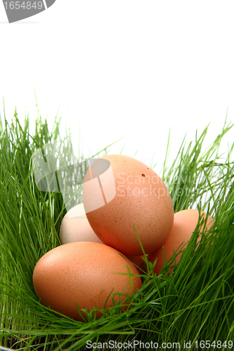 Image of easter eggs in the green grass