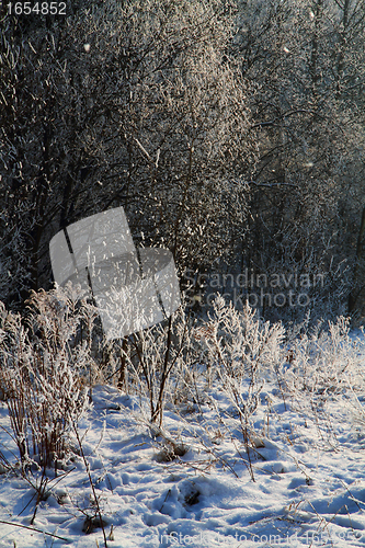 Image of winter country wirh fresh snow