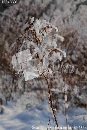 Image of winter country wirh fresh snow