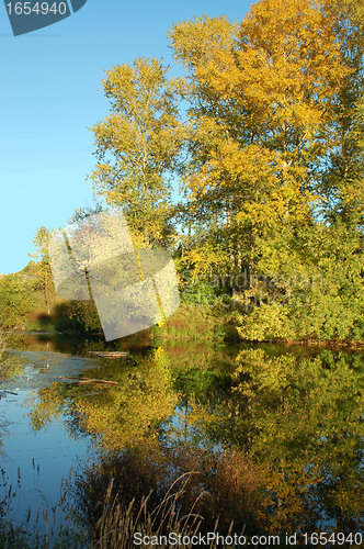Image of autumn
