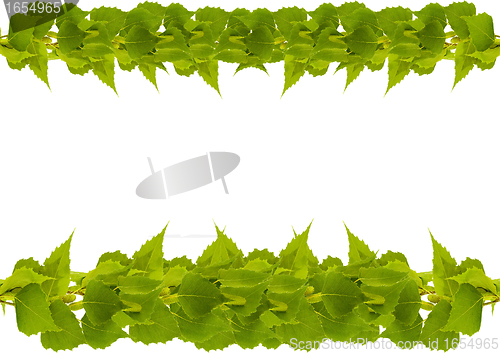 Image of frame from birch branches