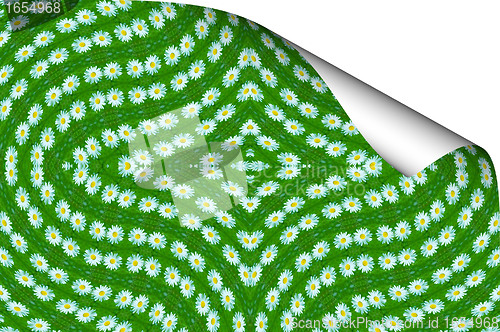 Image of ornament