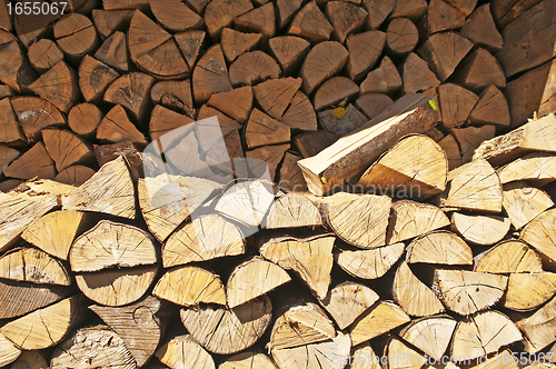 Image of fuel-wood