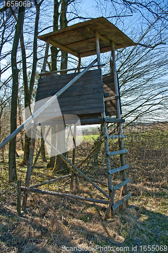 Image of hide