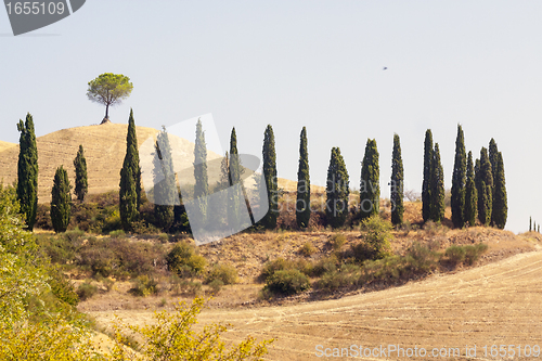 Image of Panoramic views of the Tuscan-Emilian Apennines