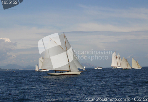 Image of sailing competition