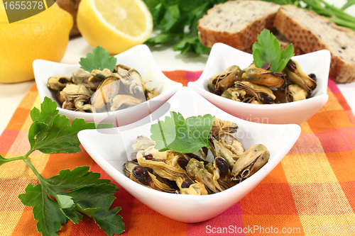 Image of Mussels