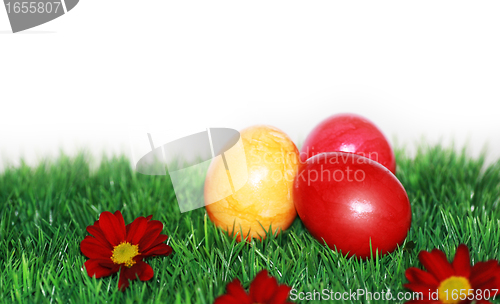 Image of Beautiful Easter Eggs in focus