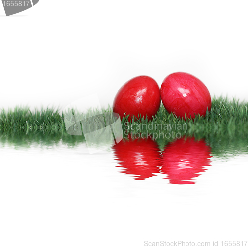 Image of Red eggs in the grass mirrored