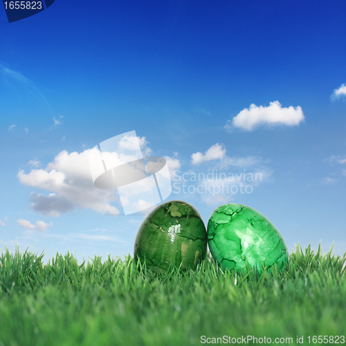 Image of Green Easter eggs on a green meadow