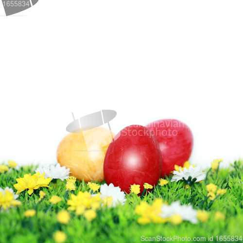 Image of Easter eggs on a flower meadow