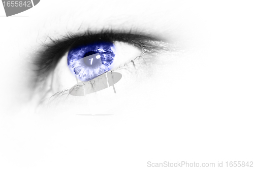 Image of Blue eye on white background