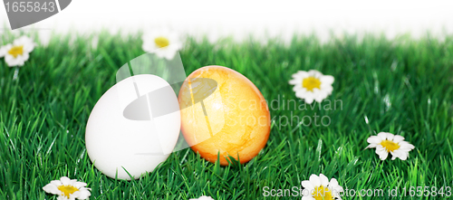 Image of A yellow and a white egg