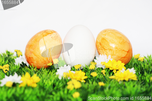 Image of beautiful Easter Eggs