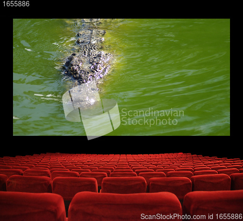 Image of Film in the cinema