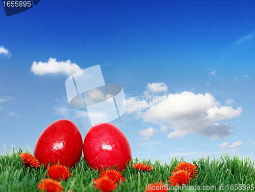 Image of Two beautiful red eggs