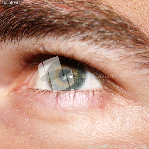 Image of male face