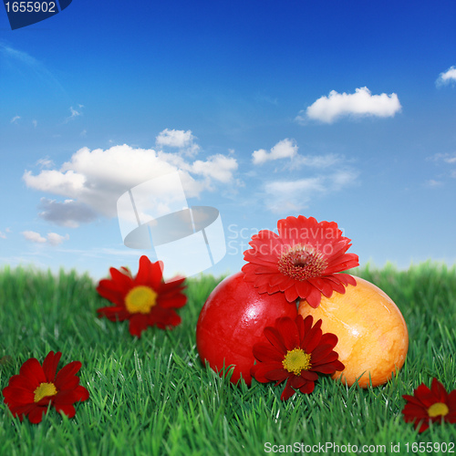 Image of Easter eggs, flowers and meadow