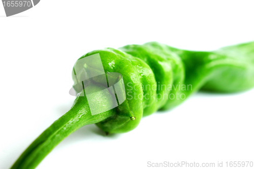 Image of Green pepper