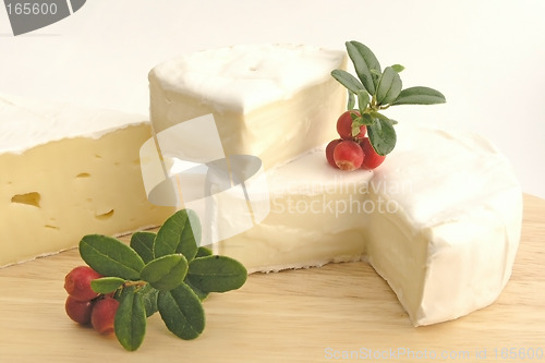 Image of cheese