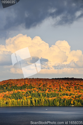 Image of Fall forest and lake