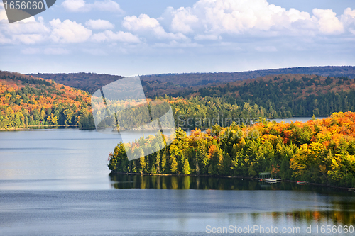 Image of Fall forest and lake