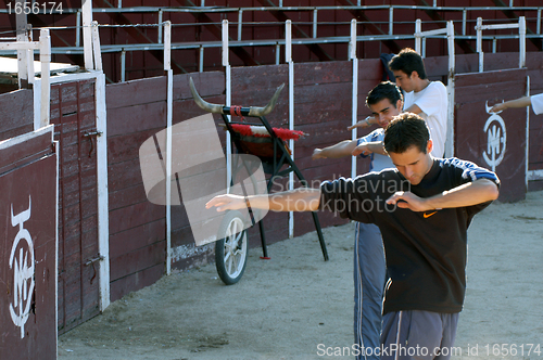 Image of bullfighter