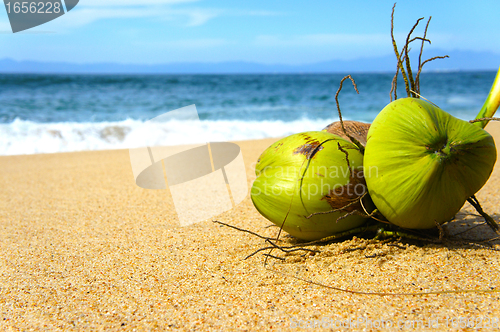 Image of Coconuts