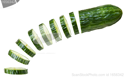 Image of Floating cucumber