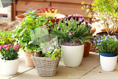 Image of Flower pots