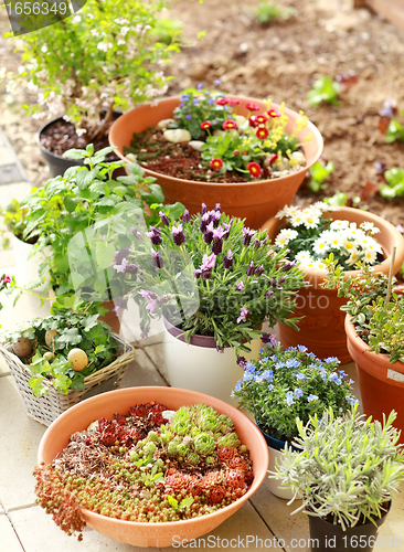 Image of Flower pots