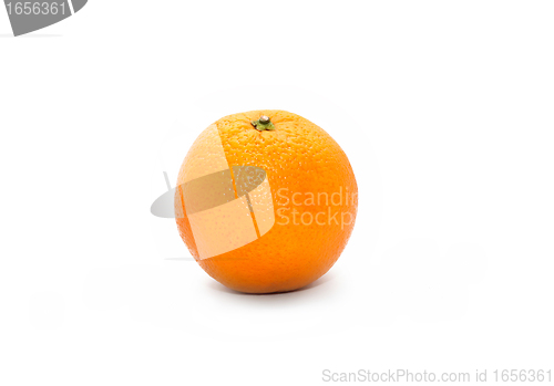 Image of orange