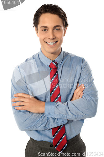 Image of Professional business executive, portrait