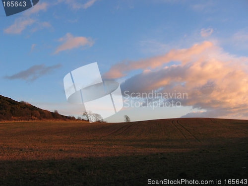 Image of field @ scotland