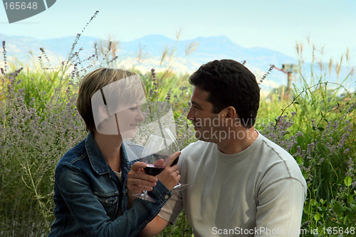 Image of Picnic with wine