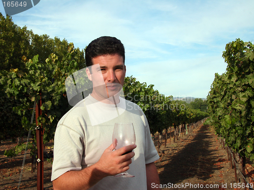 Image of Wine maker