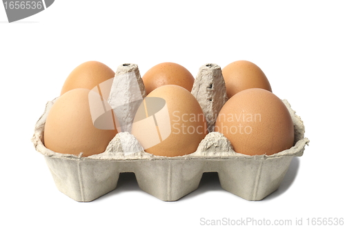 Image of Eggs on White